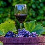 Виноробство