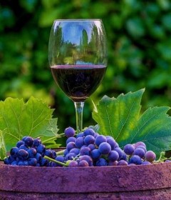 Виноробство